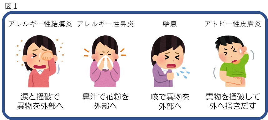 allergy1