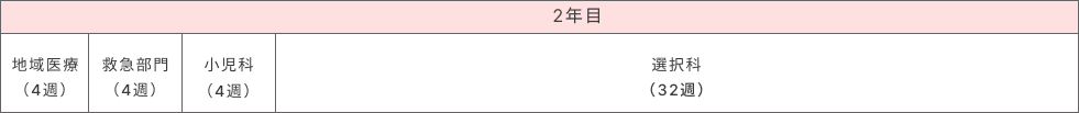 2年目 地域医療(4週)、救急部門(4週)、小児科(4週)、選択科(32週)