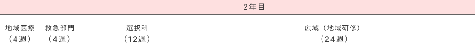 2年目 地域医療(4週)、救急部門(4週)、選択科(12週)、広域(地域研修)(24週)